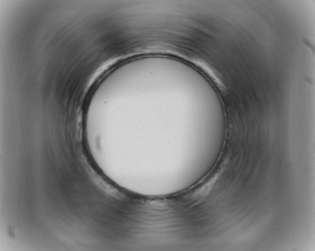 X0000095941126200801110848