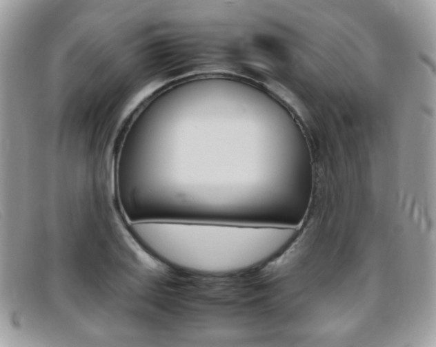 X0000095941127200801110848