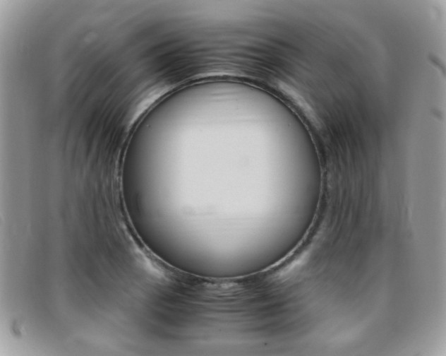 X0000095941129200801110848