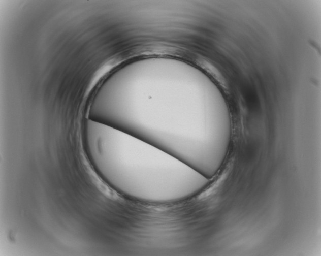 X0000095941130200801110848
