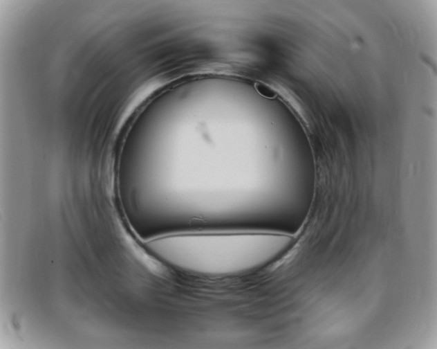 X0000095941131200801110848
