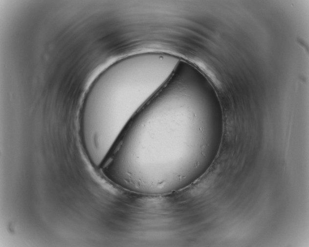 X0000095941134200801110849