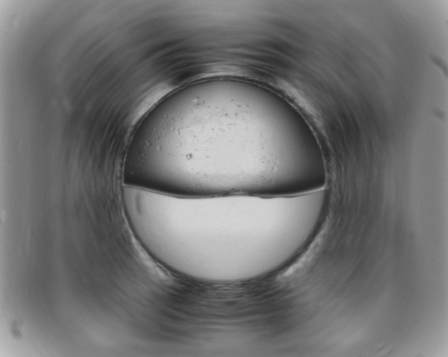 X0000095941137200801110849