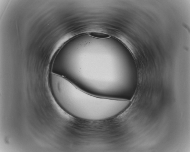 X0000095941139200801110849