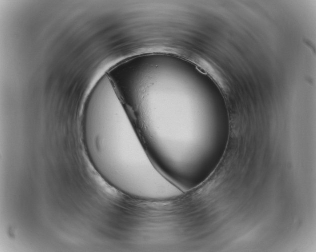 X0000095941140200801110849