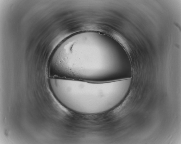 X0000095941141200801110849
