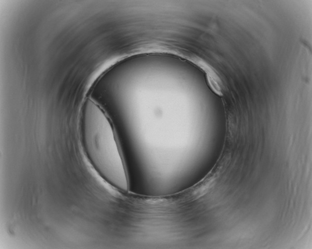 X0000095941142200801110849