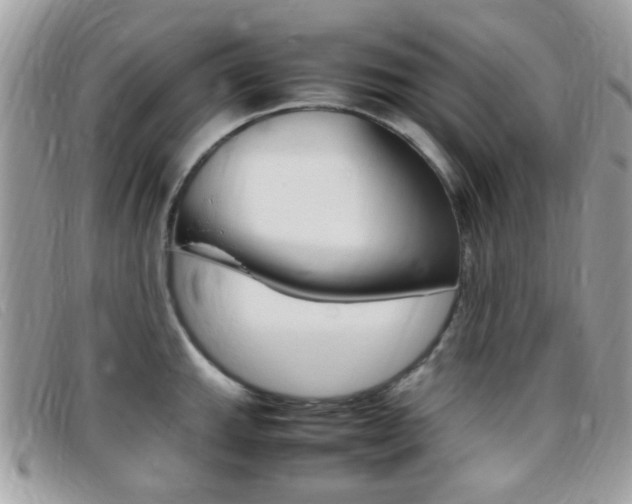X0000095941143200801110849