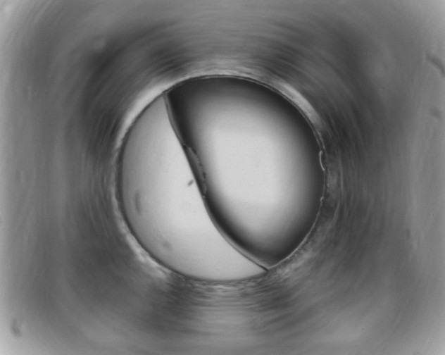 X0000095941144200801110849
