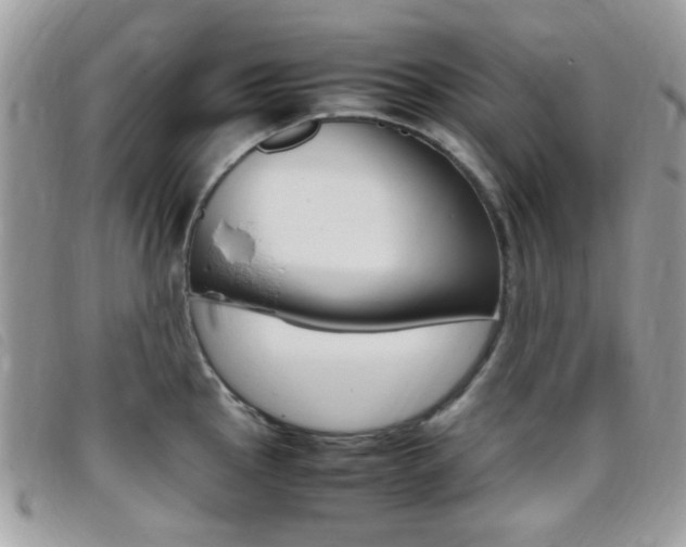 X0000095941145200801110849