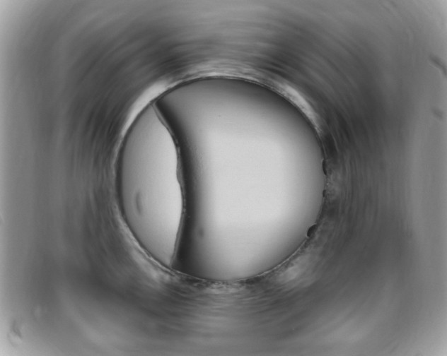 X0000095941146200801110849