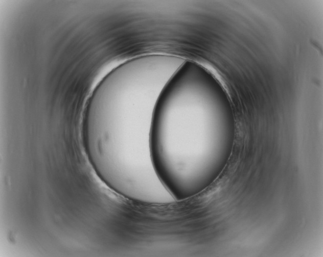 X0000095941147200801110849