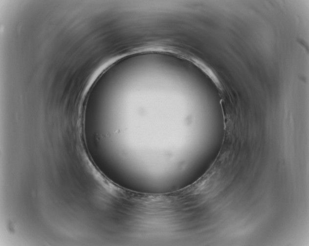 X0000095941148200801110849