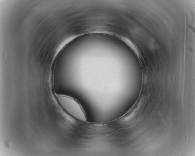 X0000095941149200801110849
