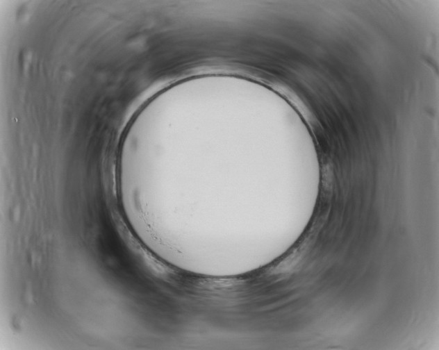 X0000095941150200801110849