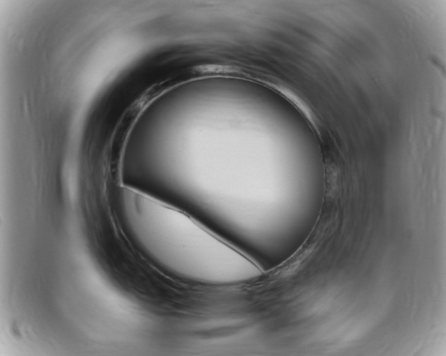 X0000095941151200801110849