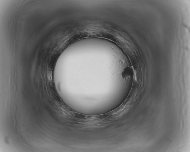 X0000095941155200801110848