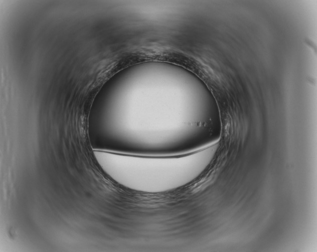 X0000095941156200801110848
