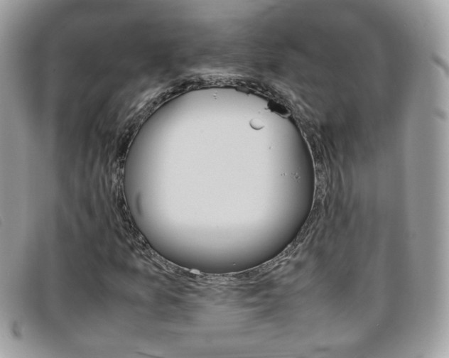 X0000095941157200801110848