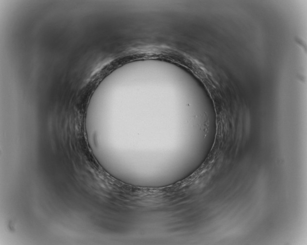 X0000095941158200801110848