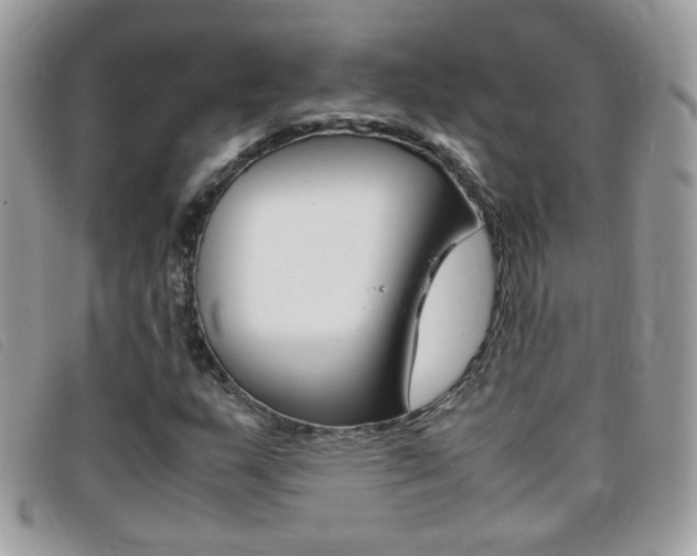 X0000095941159200801110848