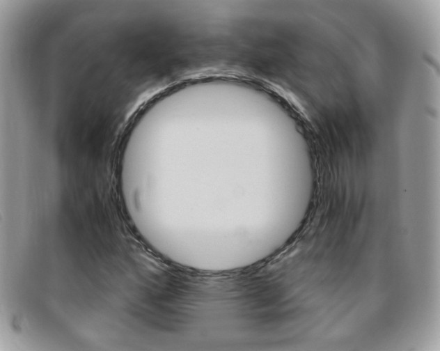 X0000095941160200801110848
