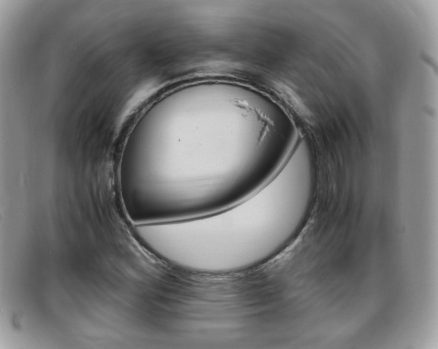 X0000095941164200801110848