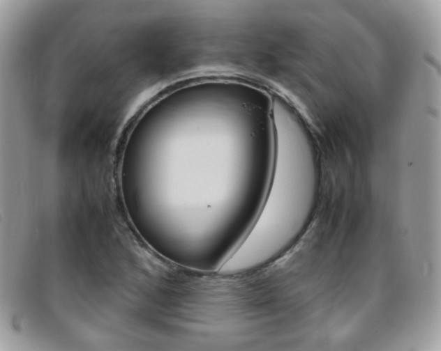 X0000095941168200801110848