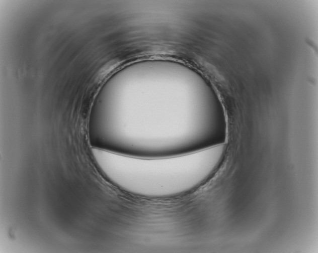 X0000095941169200801110848