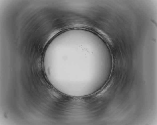 X0000095941170200801110848