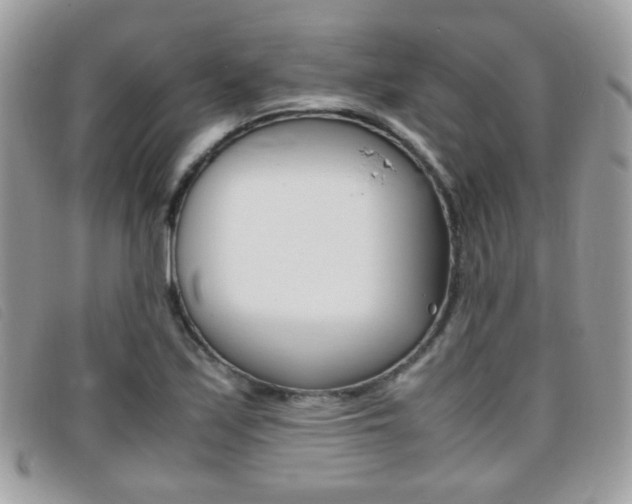 X0000095941171200801110848