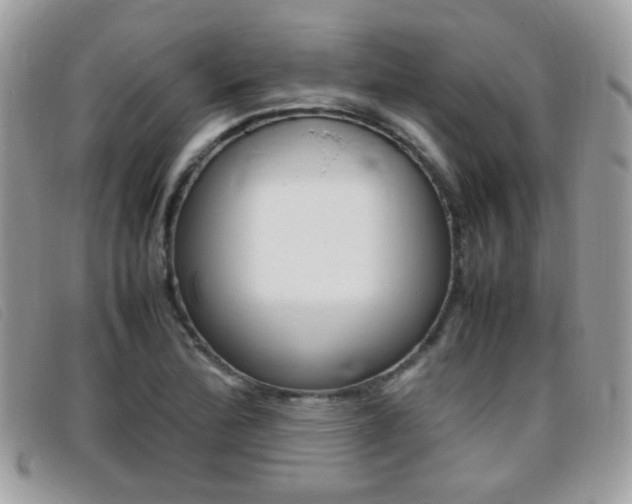 X0000095941172200801110848