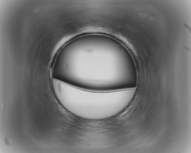 X0000095941175200801110848