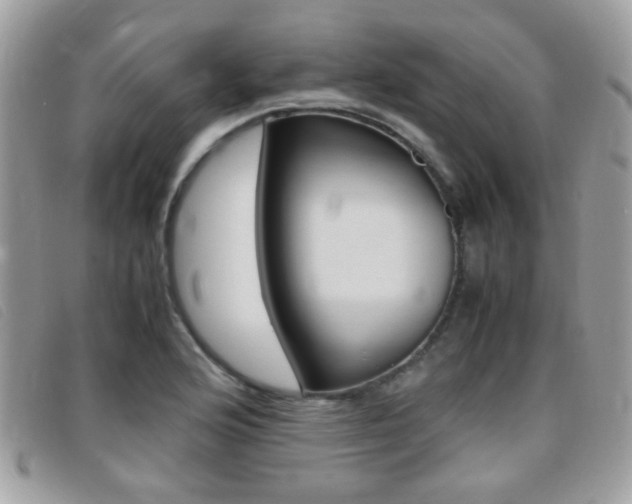 X0000095941176200801110848