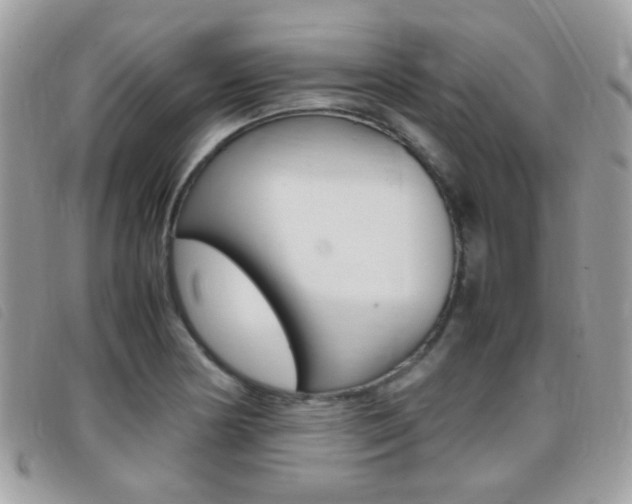 X0000095941178200801110848