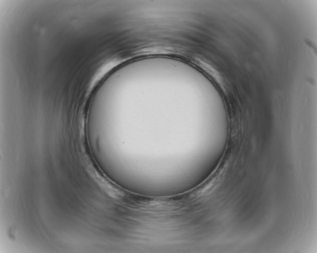 X0000095941179200801110848