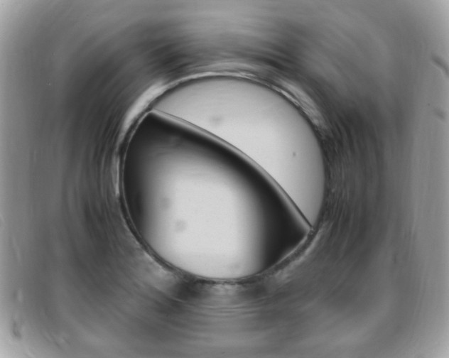 X0000095941180200801110848