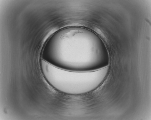 X0000095941181200801110848