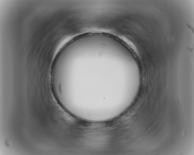 X0000095941183200801110848