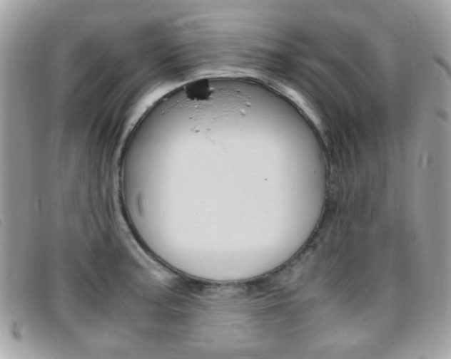 X0000095941187200801110848