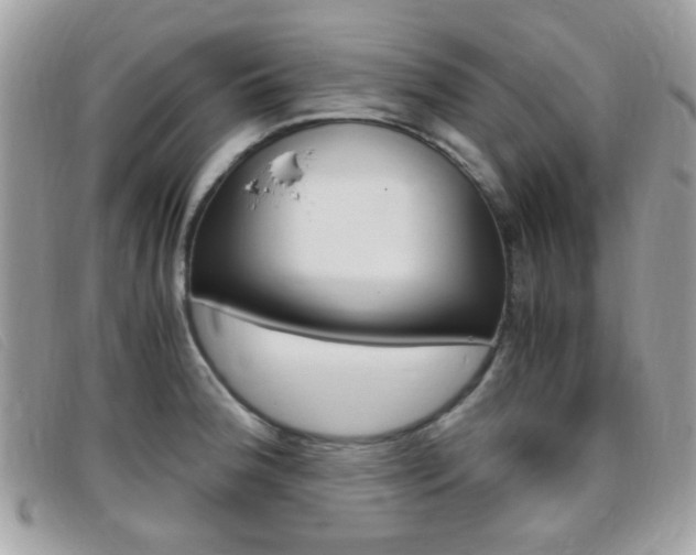 X0000095941188200801110848
