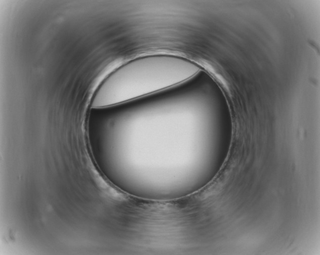 X0000095941189200801110848