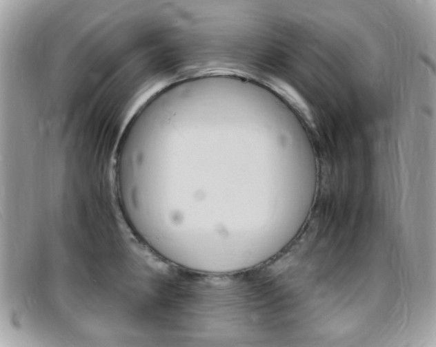 X0000095941190200801110848