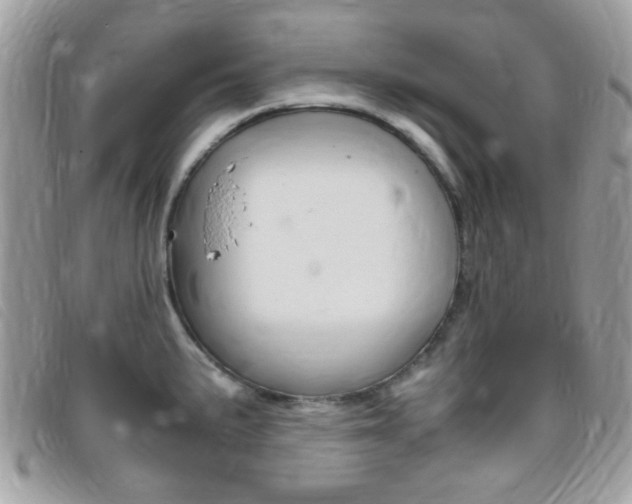 X0000095941191200801110848