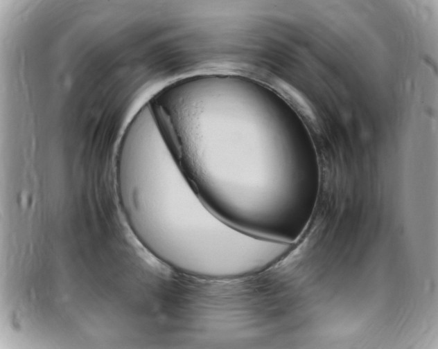 X0000095941192200801110848