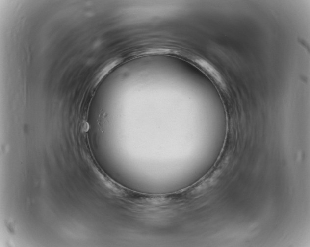 X0000095941193200801110848