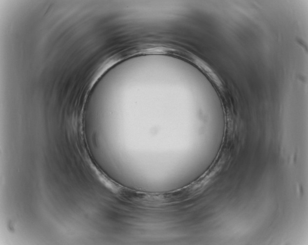 X0000095941194200801110848