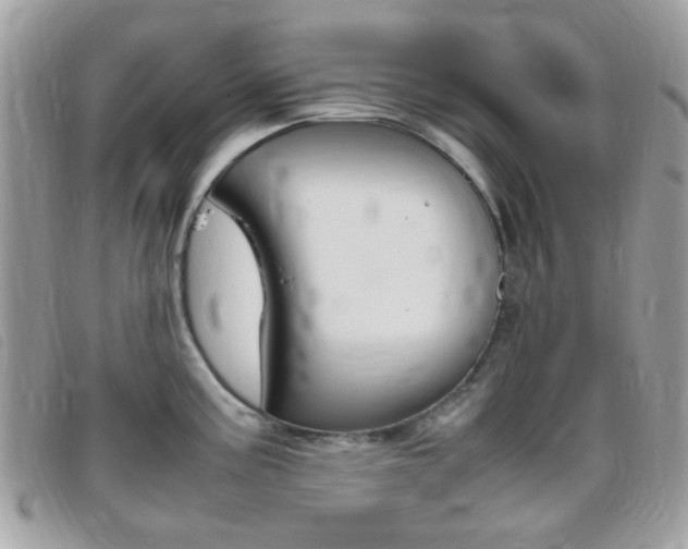 X0000095941195200801110848