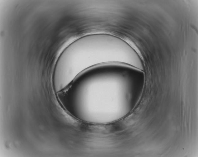 X0000095941197200801110848