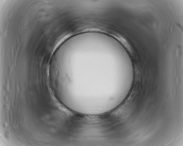X0000095941198200801110848